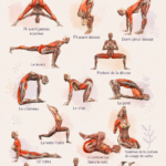 Illustration des postures de yoga avec des éléments anatomiques. Une manière d'apprendre comment chaque mouvement affecte le corps.