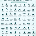 Illustration des vecteurs de yoga avec leurs noms en anglais et sanskrit