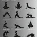 Femme pratiquant le yoga dans un parc, mettant l'accent sur des postures pour la mobilité